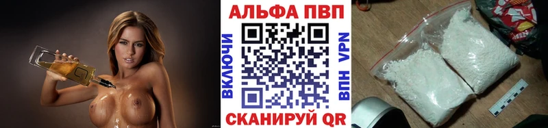 A PVP СК КРИС  Бородино 