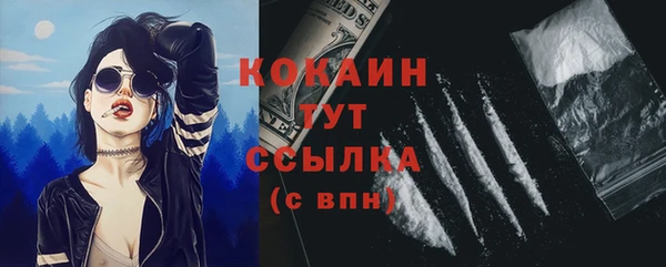 PSILOCYBIN Белокуриха