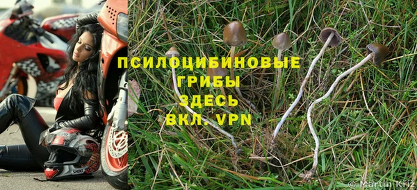ALPHA PVP Богданович