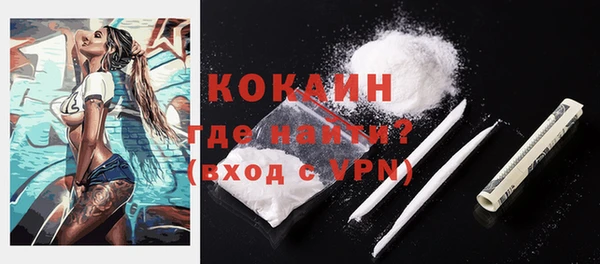 твердый Богородицк
