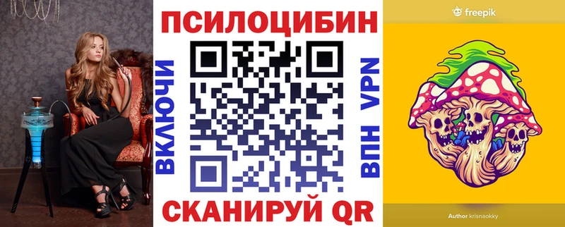 Галлюциногенные грибы Cubensis где найти Бородино